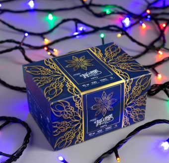 Гирлянда «Нить» 10 м, IP44, УМС, тёмная нить, 100 LED, свечение мульти, 220 В