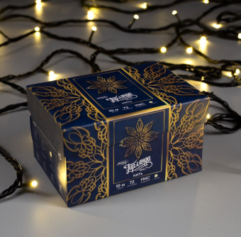 Гирлянда «Нить» 10 м, IP44, УМС, тёмная нить, 72 SMD-LED, свечение тёплое белое, 220 В