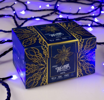 Гирлянда «Нить» 10 м, IP44, УМС, тёмная нить, 100 LED, свечение синее, 220 В